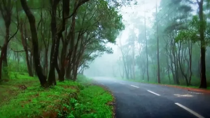 പൊന്മുടിയിലേക്ക് വണ്ടികയറാം, കാത്തിരിപ്പില്ലാതെ! സർവീസുകൾ കൂട്ടി കെ.എസ്.ആർ.ടി.സി