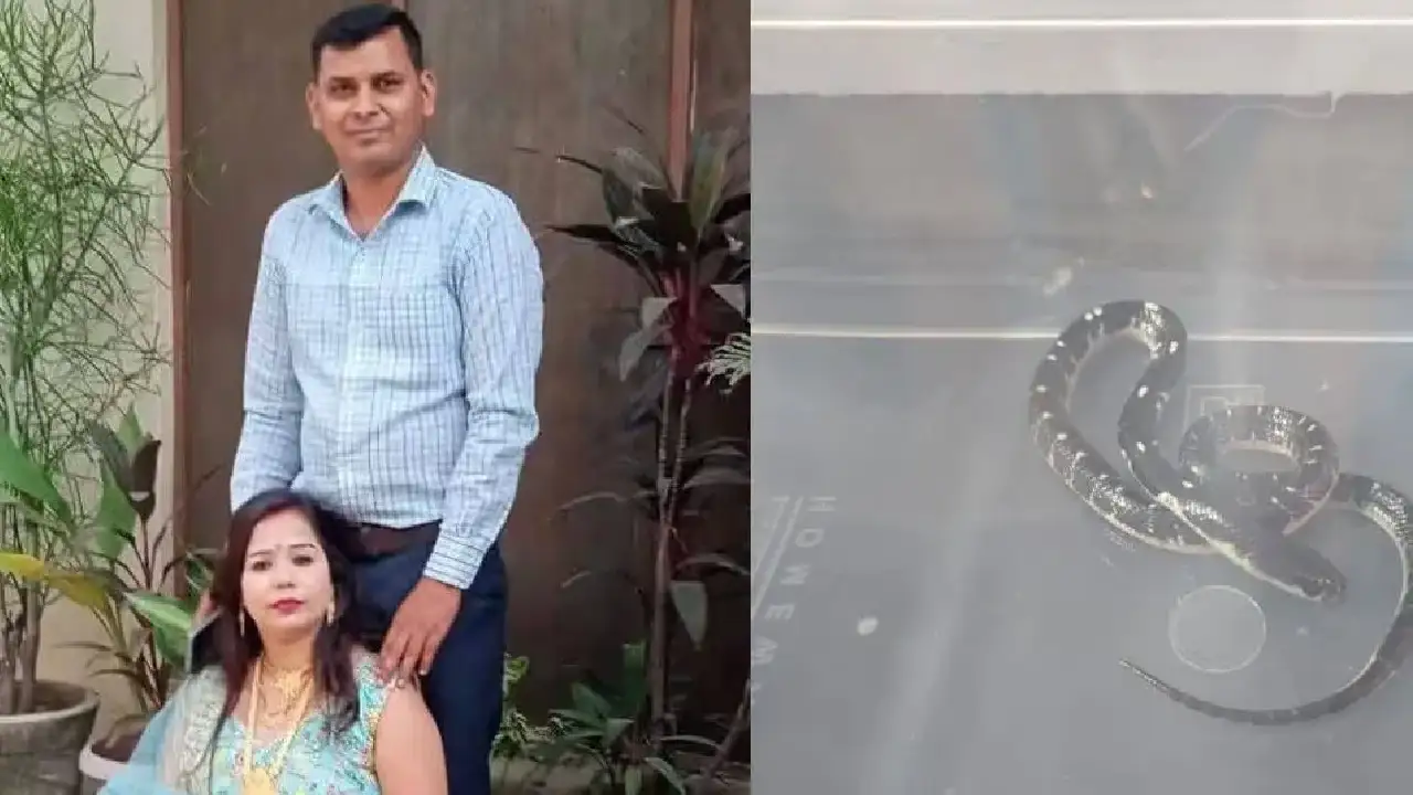 "Woman accused of killing husband in insurance money murder case."