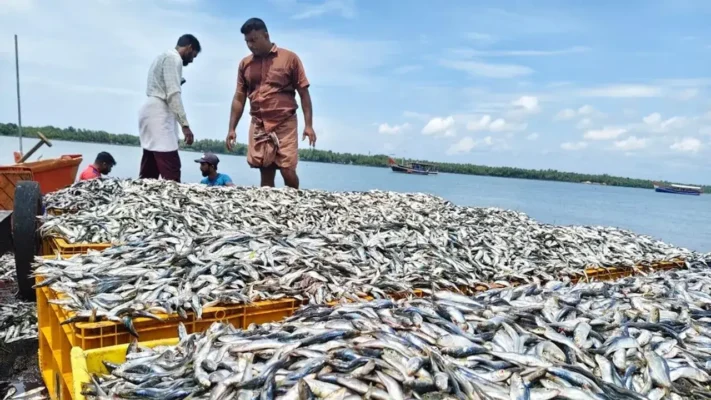 കുടുംബ ബജറ്റ് താളം തെറ്റാൻ സാധ്യത, ചിക്കൻ വില കുതിച്ചുയരുന്നു