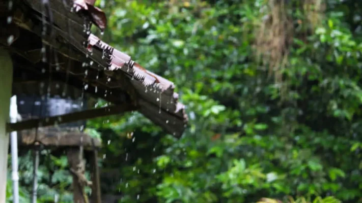 വിവിധ ജില്ലകളിൽ ഓറഞ്ച്, മഞ്ഞ അലർട്ടുകൾ: ശക്തമായ മഴയ്ക്ക് സാധ്യതയെന്ന് കാലാവസ്ഥാ വകുപ്പ്
