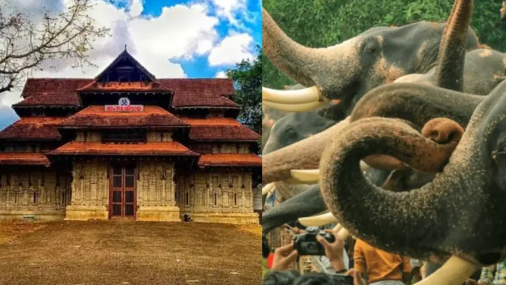 ആനപ്രേമികളുടെ പറുദീസ! വടക്കുംനാഥനിൽ ഇന്ന് 55 ഗജവീരന്മാർ, 25,000ത്തിലധികം പേർ എത്തുമെന്ന് പ്രതീക്ഷ; കാഴ്ചയ്ക്കായി തടിച്ചുകൂടി ജനം