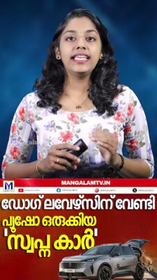 ഡോഗ് ലവേഴ്സിന് വേണ്ടി പ്യൂഷോ ഒരുക്കിയ ‘സ്വപ്ന കാർ’!