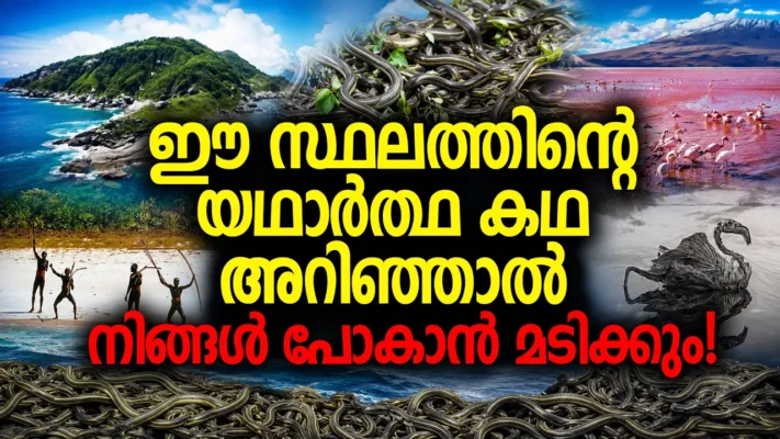 ഈ സ്ഥലത്തിന്റെ യഥാർത്ഥ കഥ അറിഞ്ഞാൽ നിങ്ങൾ പോകാൻ മടിക്കും!..