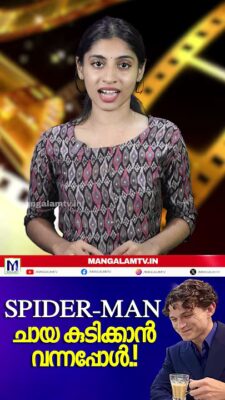 Spider-Man ചായ കുടിക്കാൻ വന്നപ്പോൾ.!