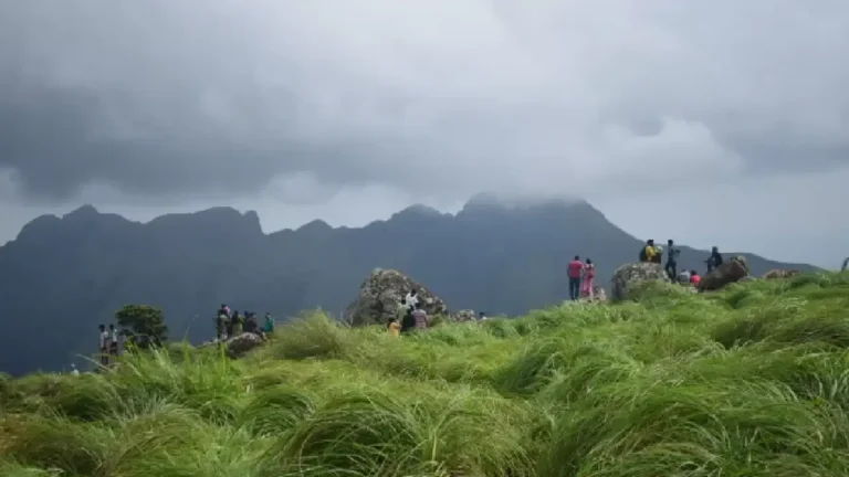 കനത്ത മഴയും മണ്ണിടിച്ചിലും; ഗതാഗതം തടസപ്പെട്ടു, പൊൻമുടി ഉൾപ്പെടെ സംസ്ഥാനത്തെ വിനോദസഞ്ചാര കേന്ദ്രങ്ങൾ അടച്ചു കനത്ത മഴയും മണ്ണിടിച്ചിലും; ഗതാഗതം തടസപ്പെട്ടു, പൊൻമുടി ഉൾപ്പെടെ സംസ്ഥാനത്തെ വിനോദസഞ്ചാര കേന്ദ്രങ്ങൾ അടച്ചു